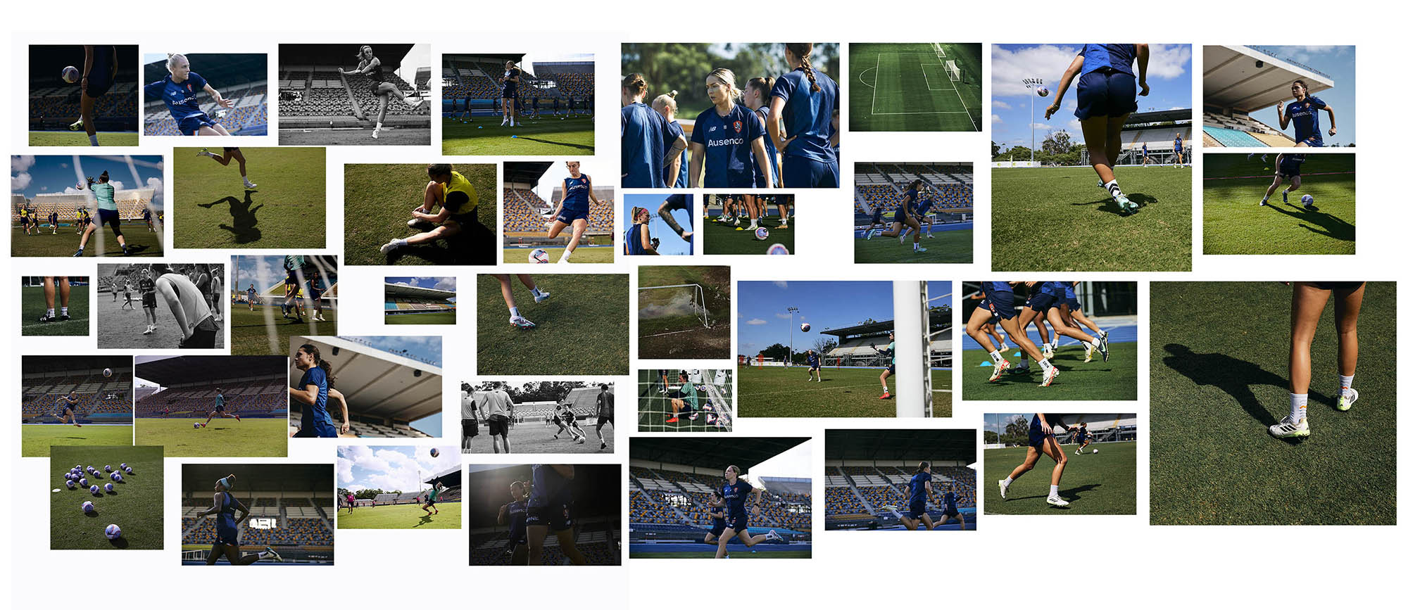 THE BRISBANE ROAR image